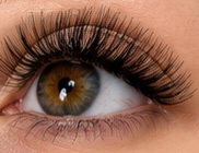 Hazel eye with volume lashes